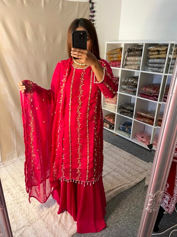 Hena Amir Viral Dress