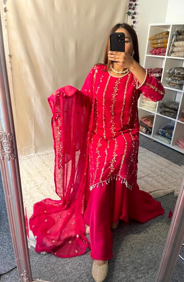 Hena Amir Viral Dress