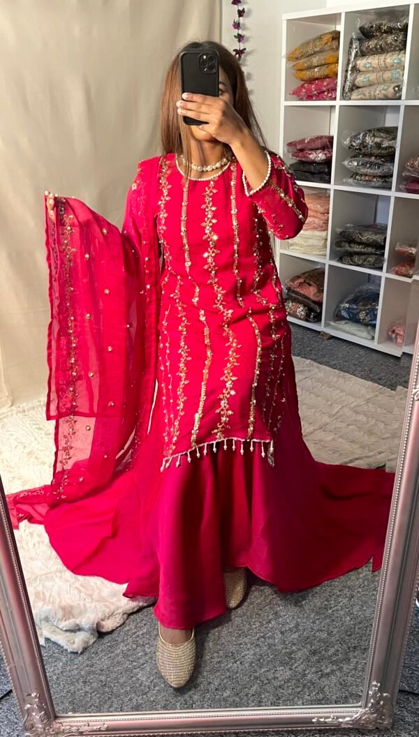 Hena Amir Viral Dress